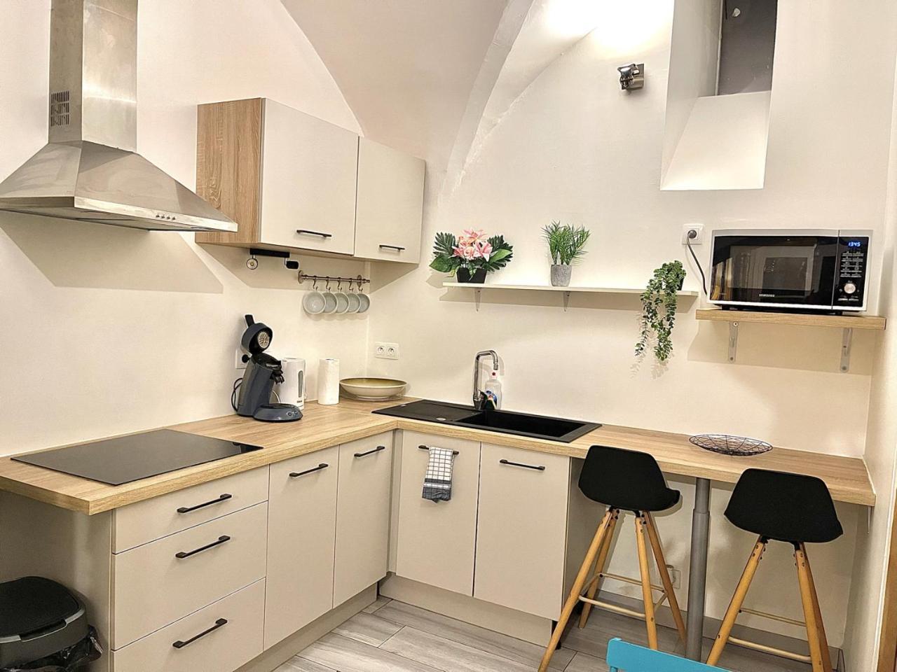 Apartament *Le Lotus*Fiber Wifi*Hyper Center* Salon-de-Provence Zewnętrze zdjęcie